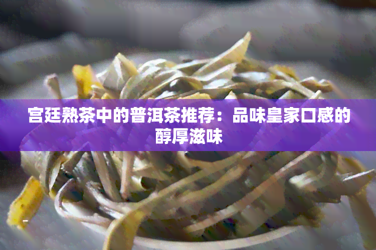 宫廷熟茶中的普洱茶推荐：品味皇家口感的醇厚滋味