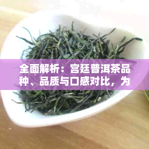 全面解析：宫廷普洱茶品种、品质与口感对比，为你推荐最适合的宫廷普洱茶