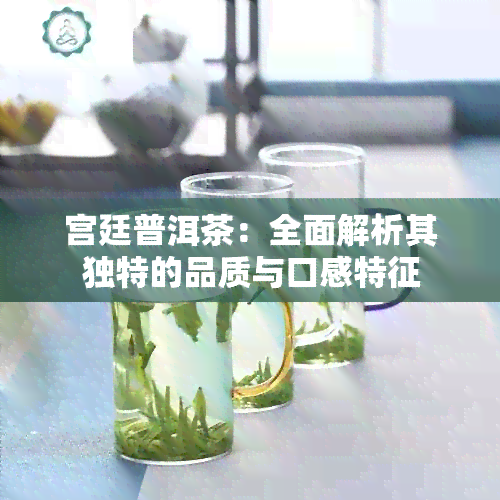 宫廷普洱茶：全面解析其独特的品质与口感特征