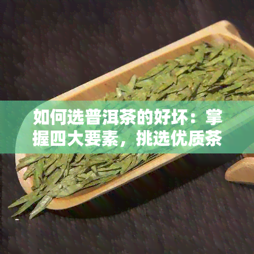 如何选普洱茶的好坏：掌握四大要素，挑选优质茶叶