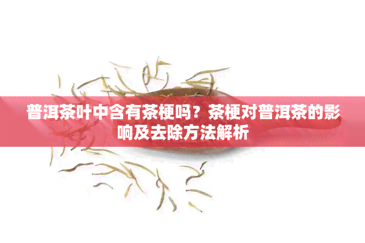 普洱茶叶中含有茶梗吗？茶梗对普洱茶的影响及去除方法解析