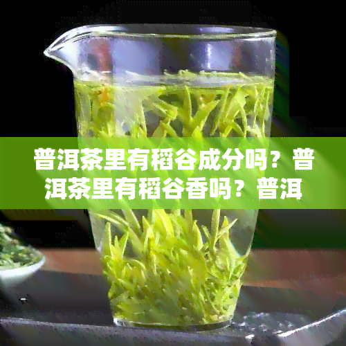 普洱茶里有稻谷成分吗？普洱茶里有稻谷香吗？普洱茶有稻草味是霉味吗？