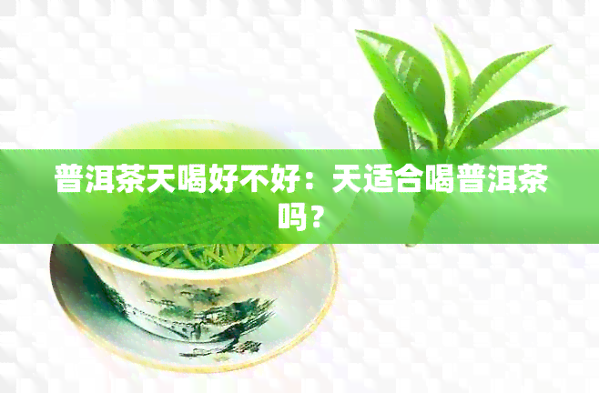 普洱茶天喝好不好：天适合喝普洱茶吗？