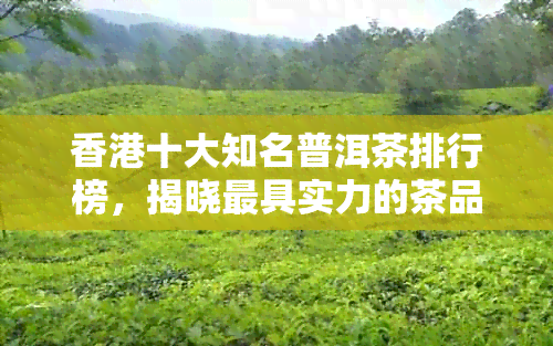 十大知名普洱茶排行榜，揭晓更具实力的茶品