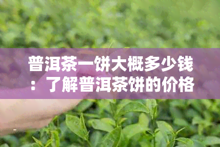 普洱茶一饼大概多少钱：了解普洱茶饼的价格，看这一篇就够了！