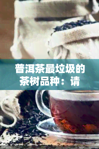 普洱茶最垃圾的茶树品种：请告诉我您所知道的信息。