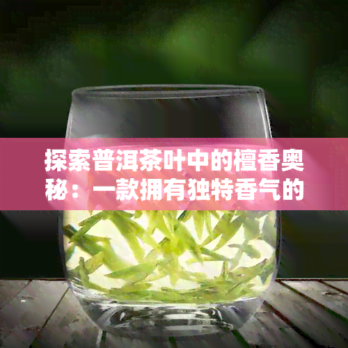 探索普洱茶叶中的檀香奥秘：一款拥有独特香气的茶叶推荐