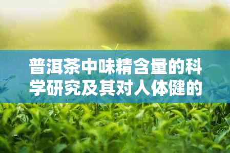 普洱茶中味精含量的科学研究及其对人体健的影响