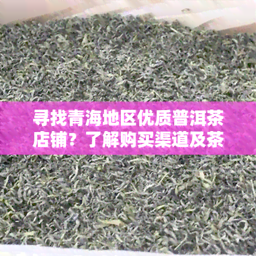 寻找青海地区优质普洱茶店铺？了解购买渠道及茶叶品质的全方位指南！