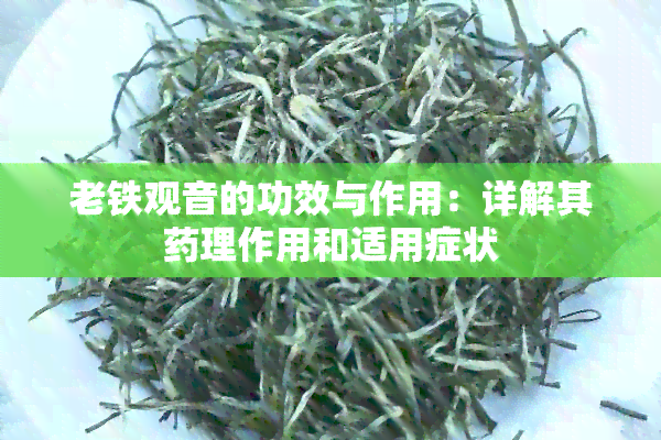 老铁观音的功效与作用：详解其理作用和适用症状