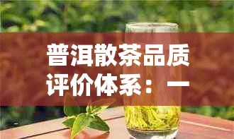 普洱散茶品质评价体系：一款全面解析普洱茶等级划分的实用指南