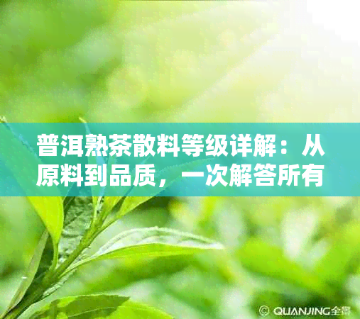 普洱熟茶散料等级详解：从原料到品质，一次解答所有疑问