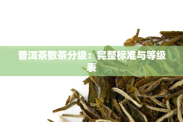 普洱茶散茶分级：完整标准与等级表