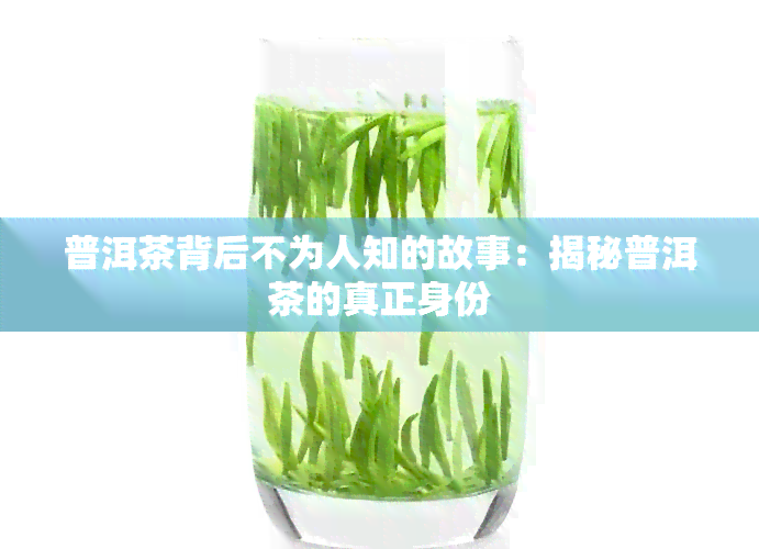 普洱茶背后不为人知的故事：揭秘普洱茶的真正身份