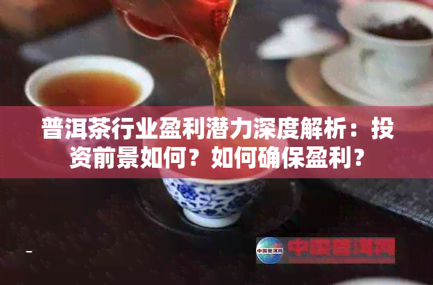 普洱茶行业盈利潜力深度解析：投资前景如何？如何确保盈利？