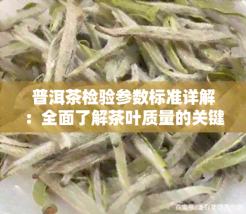 普洱茶检验参数标准详解：全面了解茶叶质量的关键指标