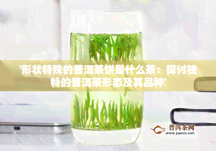 '形状特殊的普洱茶饼是什么茶：探讨独特的普洱茶形态及其品种'