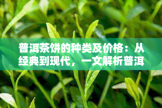 普洱茶饼的种类及价格：从经典到现代，一文解析普洱茶饼的各类品种与区别。