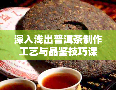 深入浅出普洱茶制作工艺与品鉴技巧课件资料