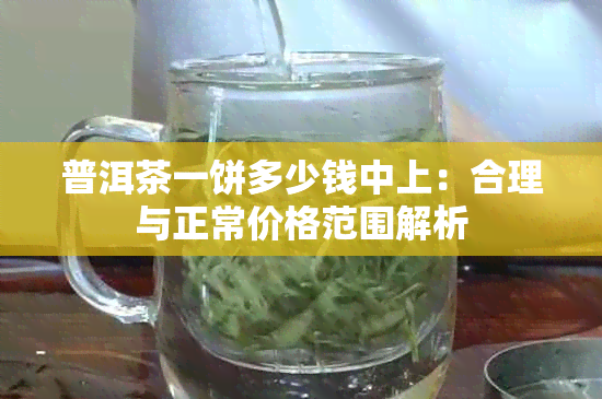 普洱茶一饼多少钱中上：合理与正常价格范围解析