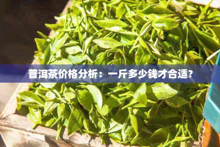 普洱茶价格分析：一斤多少钱才合适？