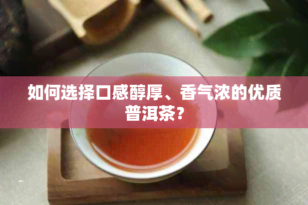 如何选择口感醇厚、香气浓的优质普洱茶？