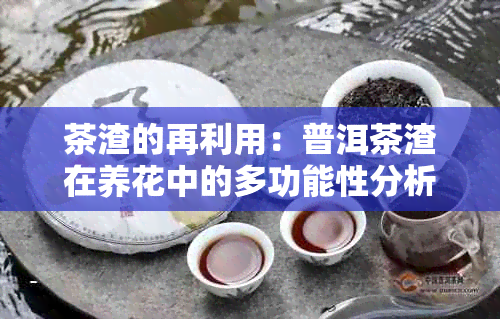 茶渣的再利用：普洱茶渣在养花中的多功能性分析