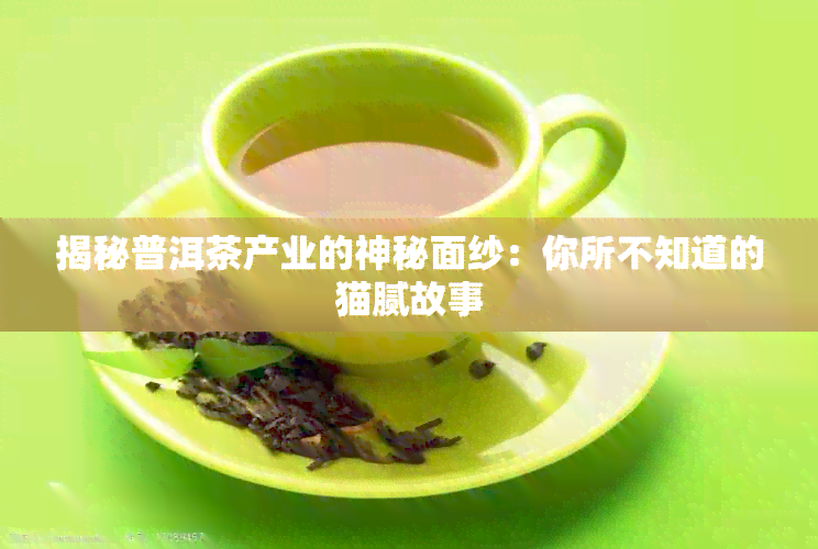 揭秘普洱茶产业的神秘面纱：你所不知道的猫腻故事