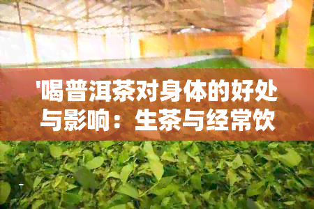 '喝普洱茶对身体的好处与影响：生茶与经常饮用的影响解析'