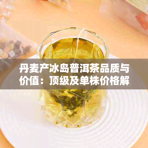 丹麦产冰岛普洱茶品质与价值：顶级及单株价格解析