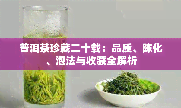 普洱茶珍藏二十载：品质、陈化、泡法与收藏全解析