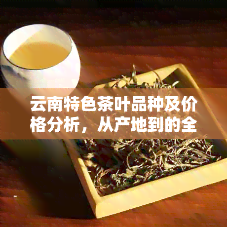 云南特色茶叶品种及价格分析，从产地到的全方位解读