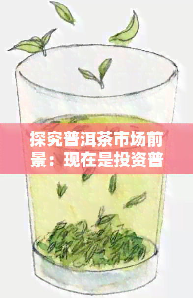 探究普洱茶市场前景：现在是投资普洱茶生意的好时机吗？