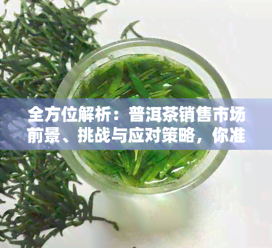 全方位解析：普洱茶销售市场前景、挑战与应对策略，你准备好了吗？