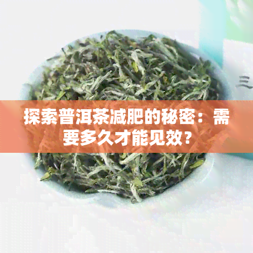 探索普洱茶减肥的秘密：需要多久才能见效？