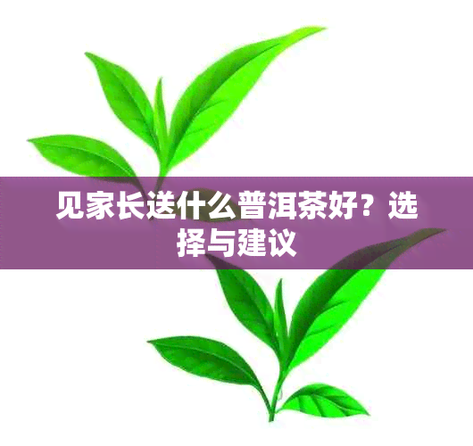 见家长送什么普洱茶好？选择与建议