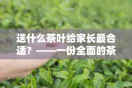 送什么茶叶给家长最合适？——一份全面的茶叶推荐指南