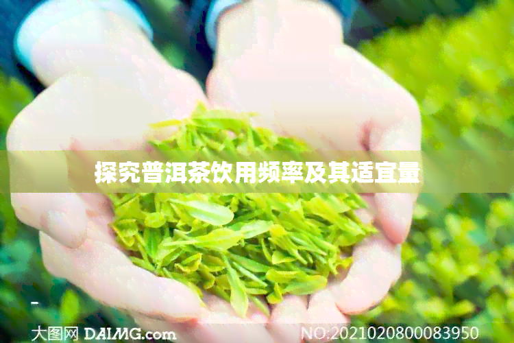 探究普洱茶饮用频率及其适宜量