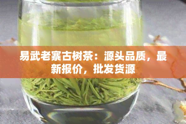 易武老寨古树茶：源头品质，最新报价，批发货源