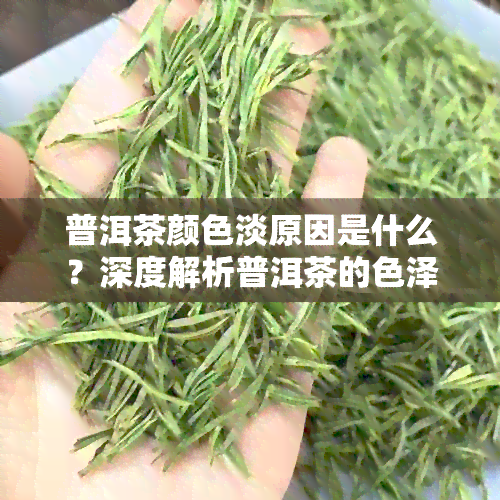 普洱茶颜色淡原因是什么？深度解析普洱茶的色泽与味道的关系