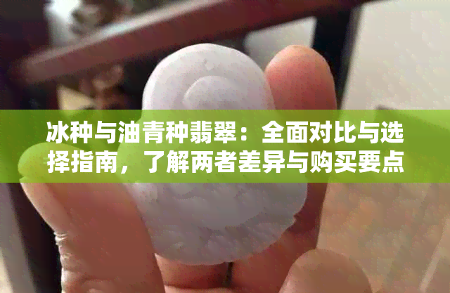 冰种与油青种翡翠：全面对比与选择指南，了解两者差异与购买要点