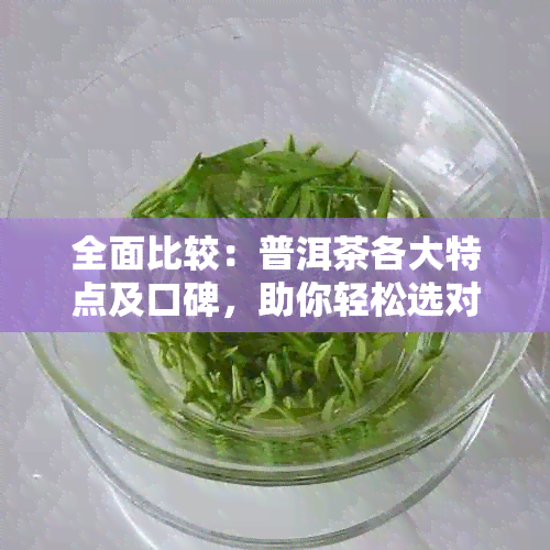 全面比较：普洱茶各大特点及口碑，助你轻松选对好茶