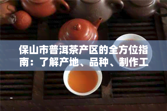 保山市普洱茶产区的全方位指南：了解产地、品种、制作工艺与品饮技巧