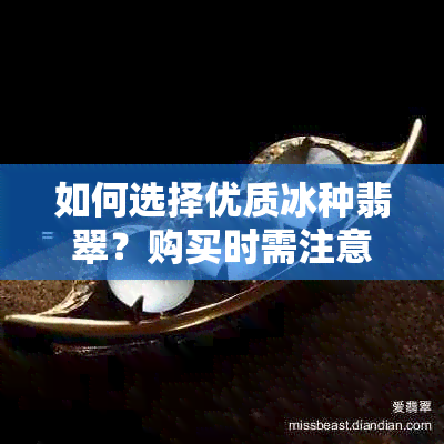 如何选择优质冰种翡翠？购买时需注意哪些因素？