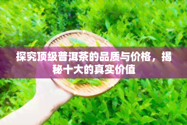 探究顶级普洱茶的品质与价格，揭秘十大的真实价值