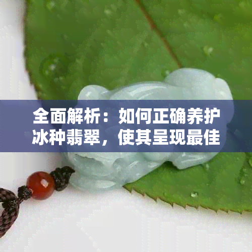 全面解析：如何正确养护冰种翡翠，使其呈现更佳光泽与质感