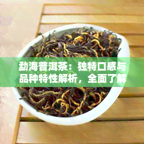 勐海普洱茶：独特口感与品种特性解析，全面了解这款茶叶的魅力所在