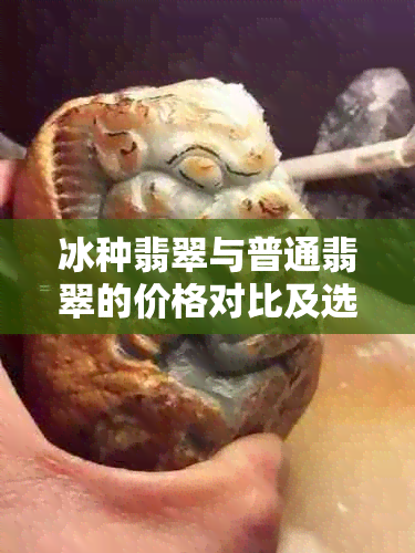 冰种翡翠与普通翡翠的价格对比及选购指南