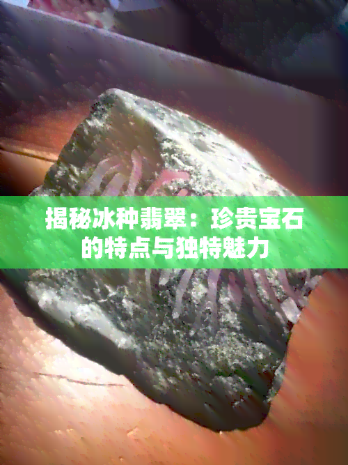 揭秘冰种翡翠：珍贵宝石的特点与独特魅力