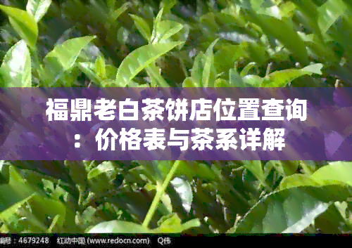 福鼎老白茶饼店位置查询：价格表与茶系详解